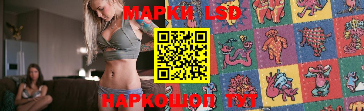 Ставрополь  Лсд 25 экстази ecstasy    ссылки  Вход с VPN  LSD-25 экстази кислота 