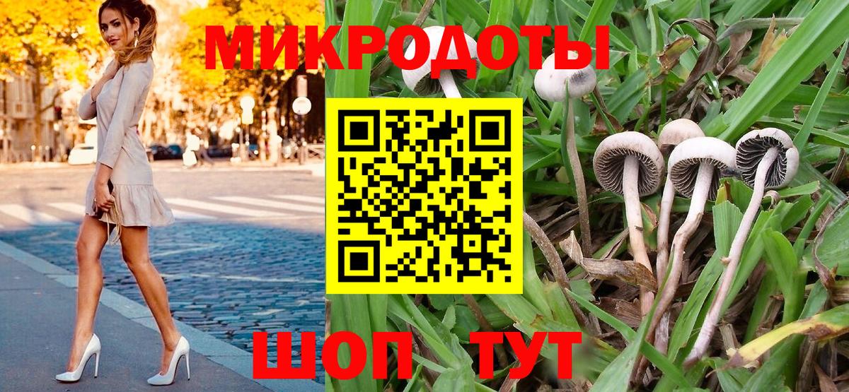 Ставрополь  Псилоцибиновые грибы Psilocybe  Вход с VPN 