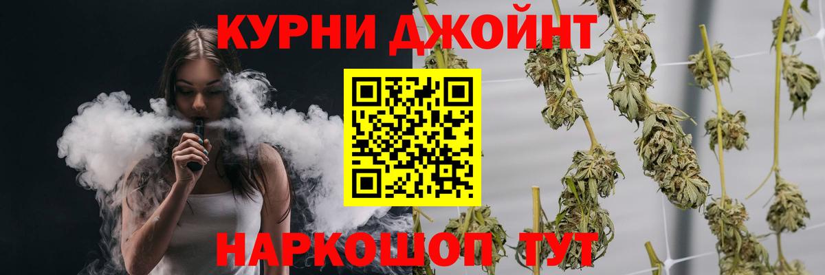 Конопля гибрид Ставрополь